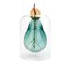 Balvi Avocado Seed Glass Vase Sale