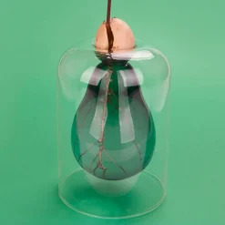 Balvi Avocado Seed Glass Vase Sale