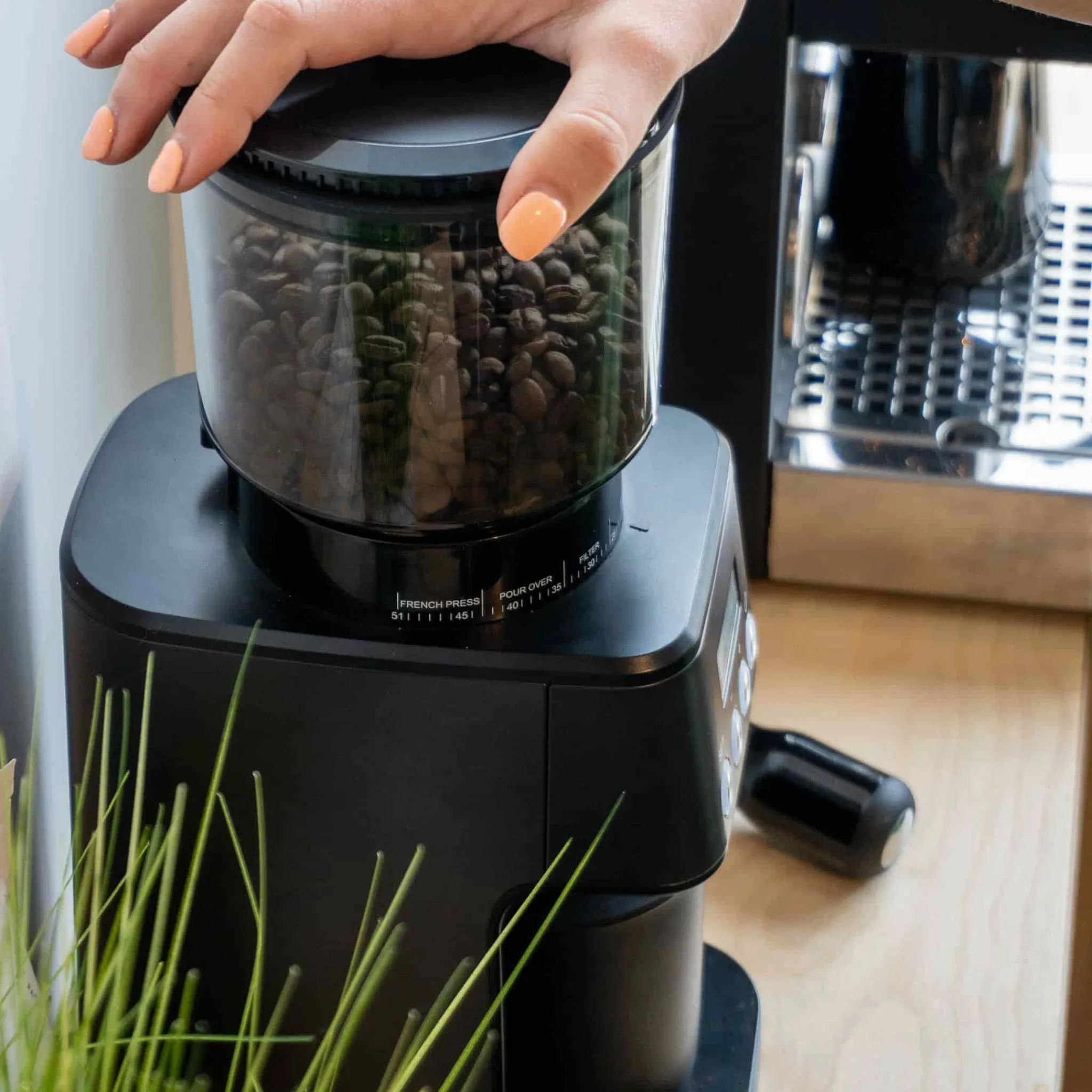 Barista & Co Core All Grind Plus Best