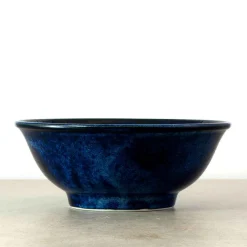 Kiji Stoneware & Ceramics Blue Sakura Ramen Bowl, 21cm New