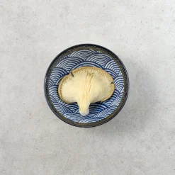 Kiji Stoneware & Ceramics Blue Wave Noodle Bowl, 16.8cm Outlet