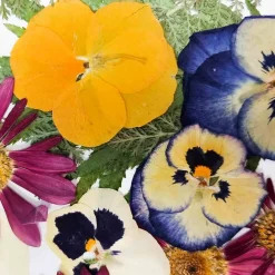 Sous Chef Edible Dried & Pressed Flower & Leaf Mix, 20 pieces Outlet