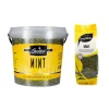 Greenfields Dried Mint Outlet