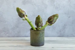 Ceramica Nicola Lagoa Kitchen Utensils Jar Discount