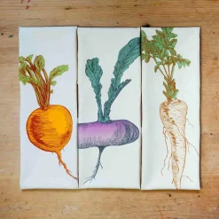 Lottie Day Gift Box Set of 3 Mixed Veg Tea Towel Clearance