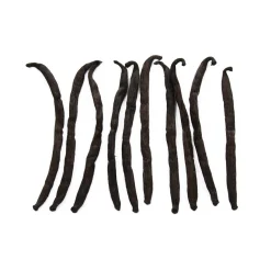 Sous Chef Madagascan Vanilla Pods x 10 Online