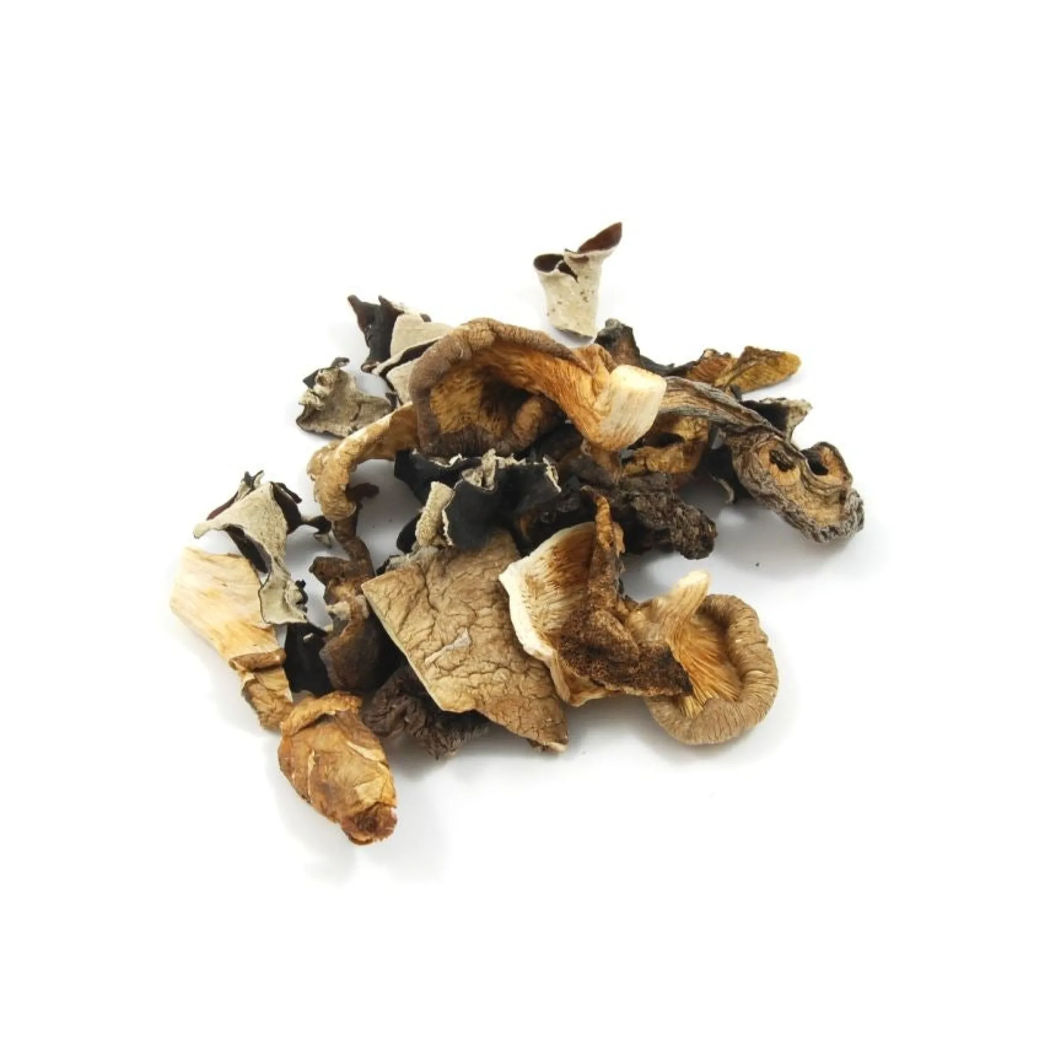 Champiland Mixed Wild Mushrooms, 500g New
