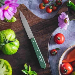 Opinel No 113 Khaki Beechwood Handle Serrated Paring Knife, 10cm Best