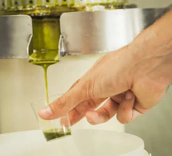 Pariani Roasted Bronte Pistachio Oil, 100ml New