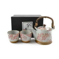 Kiji Stoneware & Ceramics Sakura Blossom Tea Set For Two Online
