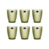 Bright Glassware Set of 6 Green Diamond Tumblers, 270ml Outlet
