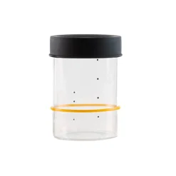 Sourhouse Starter Jar, Quart Outlet