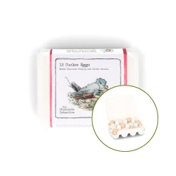 Chocolate Detective The 12 Cuckoo Chocolate Eggs, 150g Hot