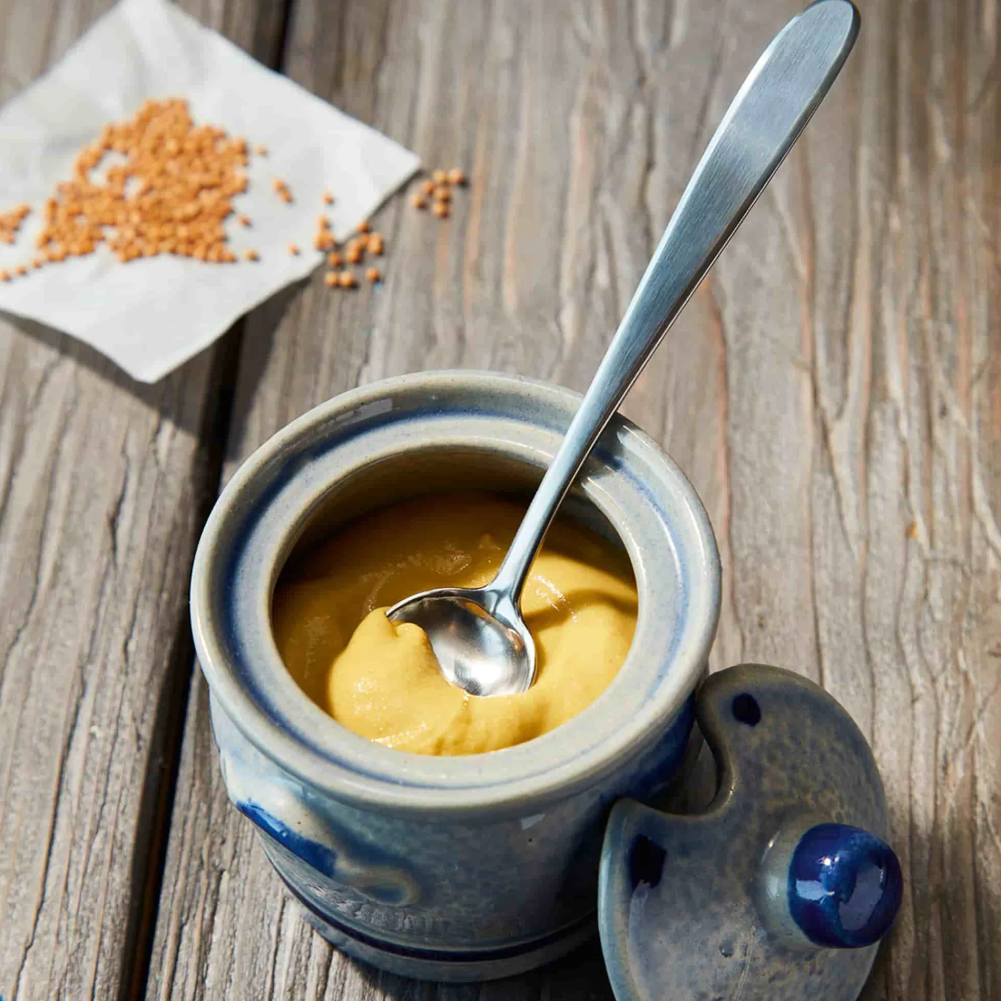 Triangle Stainless Steel Mustard & Dip Spoon Online