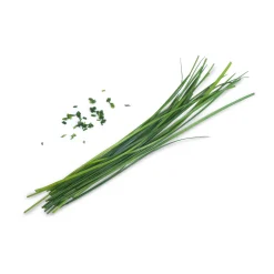 Veritable Asian Lingot Insert, Organic Chinese Chives Outlet
