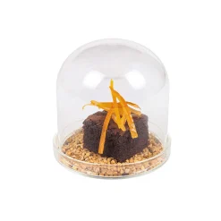 Portuguese Tableware 4x Small Domed Glass Cloche, 8cm dia